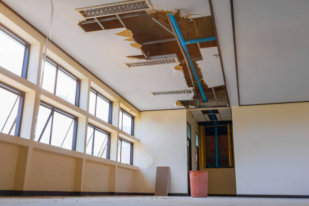 Best Water damage restoration process  in Beaverton, MI