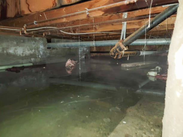 Best Ceiling water damage repair  in Beaverton, MI