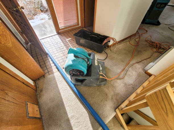 Best Basement water damage restoration  in Beaverton, MI
