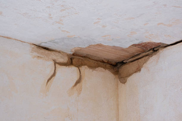 Best Professional water damage repair  in Beaverton, MI