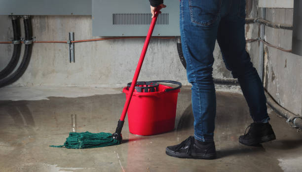 Carpet water damage restoration in Beaverton, MI