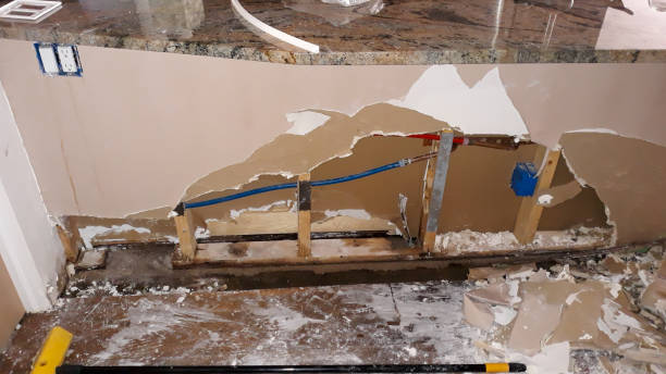 Best Flood damage cleanup  in Beaverton, MI