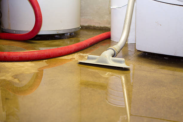 Beaverton, MI Water damage restoration Company