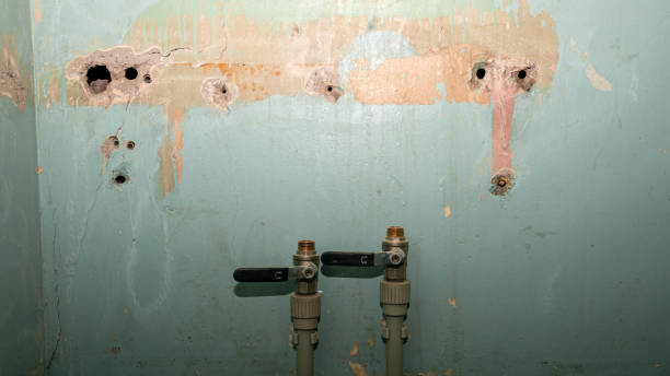 Best Mold removal after water damage  in Beaverton, MI