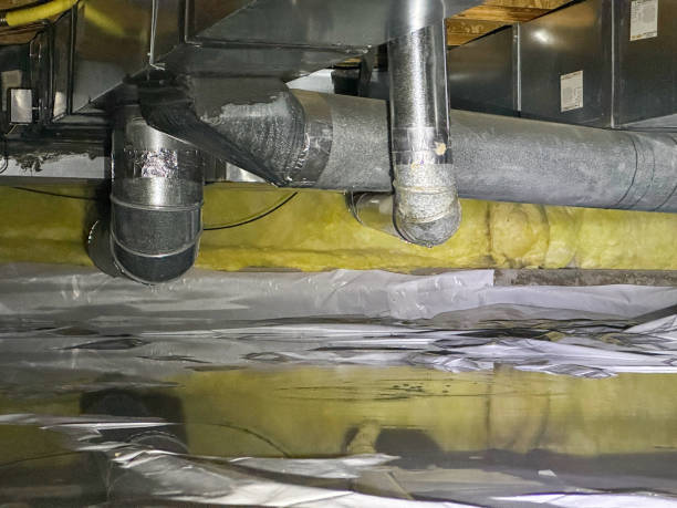 Best Water damage contractors near me  in Beaverton, MI
