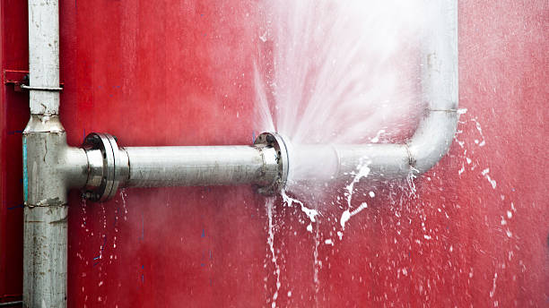 Best Water damage contractors near me  in Beaverton, MI